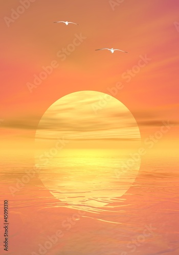 Illustration: Seagulls by sunset Seagulls by sunset