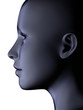 Blue fibre face