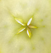 Foto: apple detail apple detail