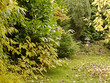 Herbst im Garten