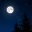 Full moon with lens flare