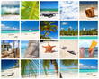Foto: Tropical collage Tropical collage
