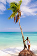 Dream Beach