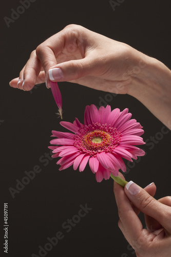 Photo: Young woman's hand plucking petal from flower Young woman's hand plucking petal from flower