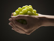Grapes in young woman's hands