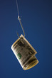 "One US dollar bill on hook, against blue background"