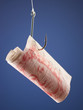 "Fifty pounds banknote on hook, against blue background"