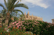 Foto: Kathedrale la Seu auf Mallorca Kathedrale la Seu auf Mallorca