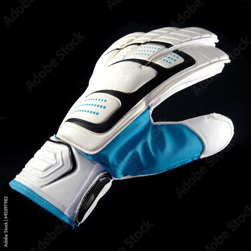 Photo: White Goalkeeper Glove White Goalkeeper Glove