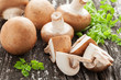 Braune Champignons