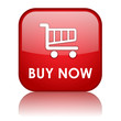 "BUY NOW" Web Button (add to cart order online pay click here)