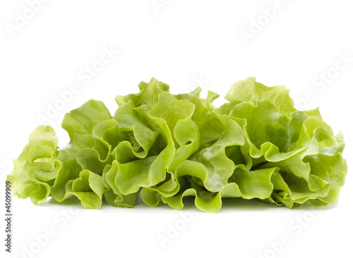 Photo: Fresh lettuce salad leaves bunch Fresh lettuce salad leaves bunch