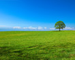 Foto: Paysage de campagne panoramique A Paysage de campagne panoramique A