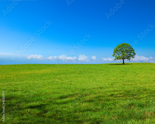 Photo: Paysage de campagne panoramique A Paysage de campagne panoramique A