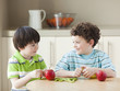 USA, Utah, Two boys (4-5, 6-7) at kitchen table