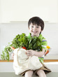 USA, Utah, Portrait of smiling boy (4-5) holding bag of vegetable