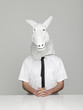 Studio portrait of young man wearing horse mask