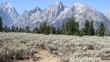 Grand tetons