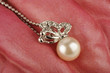 Pearl necklace  on isolated pink flower bacground
