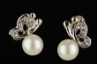 Pearl earing on isolated black bacground