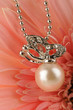 Pearl earing on the pink flower