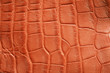 Crocodile skin