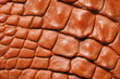 Crocodile skin
