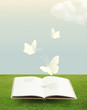 Open Book On Grass With Butter...
