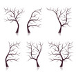 Set of tree trunks bare for your design