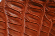 Crocodile skin