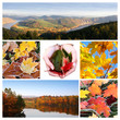 Autumn collage