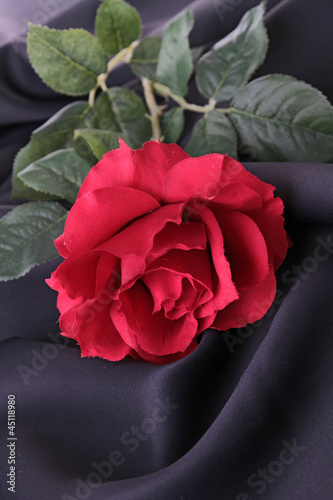 Photo: red rose on silk drape red rose on silk drape