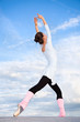 Beautiful ballerina dancing