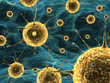Virus in human body