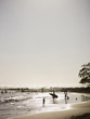 beach scene