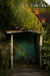 tropical doorway