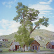 "USA, Montana, Bannack, Landscape with wooden houses"