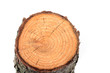 Holz