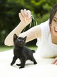"USA, Utah, Orem, Woman playing with kitten"