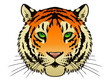 Tiger Head