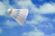badminton shuttlecock