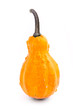 Photo: Decorative pumpkin squash isolated on white background Decorative pumpkin squash isolated on white background