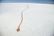 endless extension cord