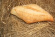 bread and wheat