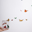 jar of butterflies
