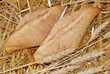 bread and wheat