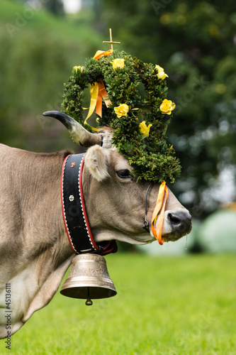 Photo: Almabtrieb Almabtrieb