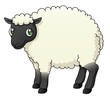 Cartoon Sheep