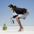 businesswoman watering a sapling in the desert
