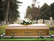 coffin at a cemetery